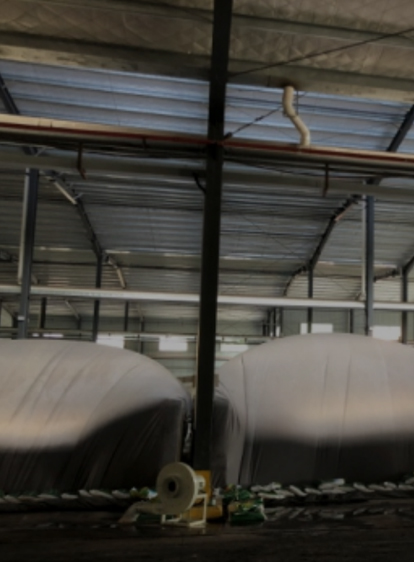 首页- 平博pinnacle888公司官网